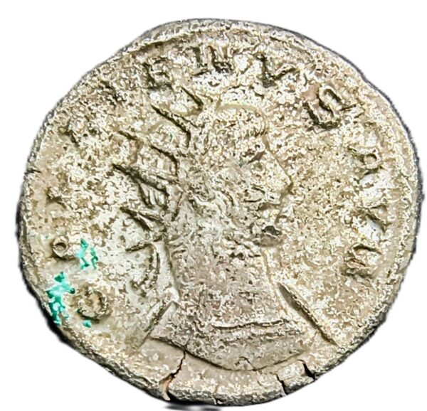 Galieno MINERVA AVG