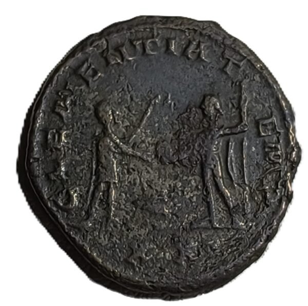 Antoniniano Probus Clementia TEMP - Imagen 2