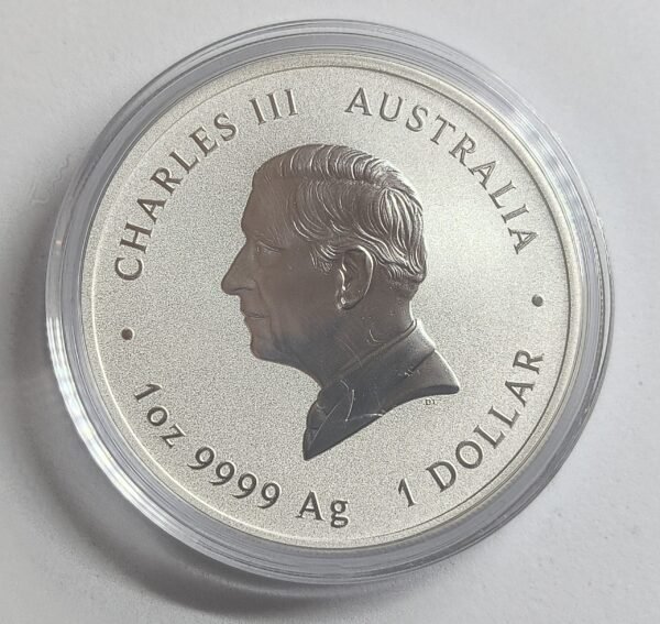 1 oz Año de la Serpiente 2025 - Imagen 2