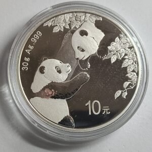 Panda 2023 China 30 g