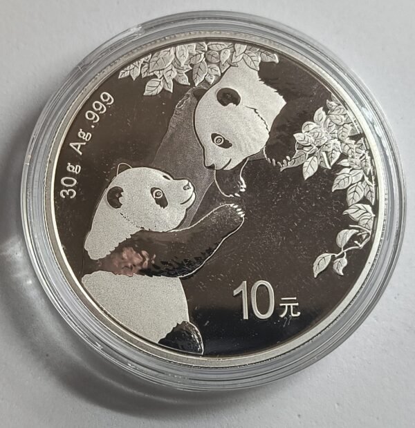 Panda 2023 China 30 g