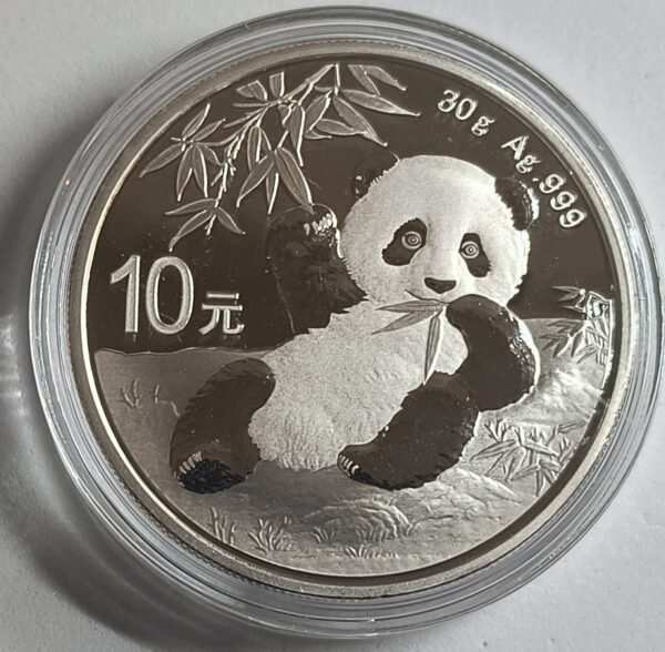 Panda 2020 China 30 g