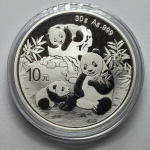 Panda 2025 China 30 g