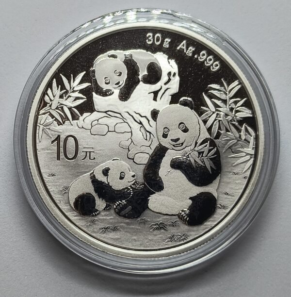 Panda 2025 China 30 g