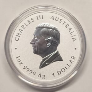 1 oz Silver PROCLAMATION 2025 – Pillar Dollar reverso